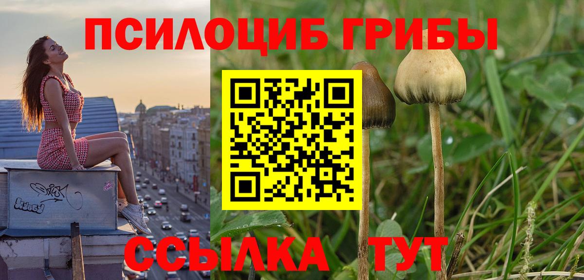Галлюциногенные грибы Cubensis  Вход с VPN  Махачкала  Галлюциногенные грибы мухоморы 